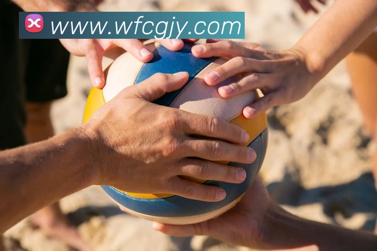 滚球官网app服务体系